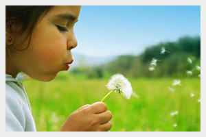 �㶫������߼�������(���IQTC) ���й��������ϵͳ��Ҫ��רҵ�������ϻ������е��Ź㶫�����󲿷ֳ��뾳��Ʒ�ķ���������񡢸���ί�м������Ϳ�������