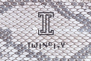 TWINCITY��Ƥ����ҵ��ʶ