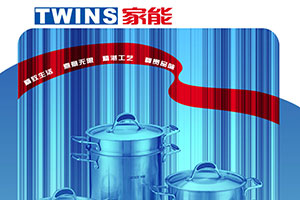 ����TWINS������Ʒ������