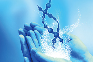 �����������������